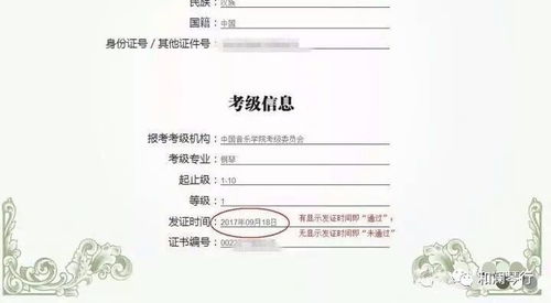 中國(guó)音樂(lè)學(xué)院2017夏季技能考級(jí)成績(jī)查詢(xún)方法及技術(shù)咨詢(xún)指南